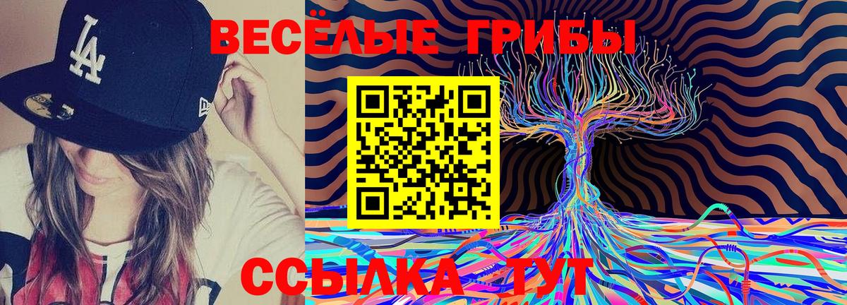 Пугачёв  Псилоцибиновые грибы Cubensis  Псилоцибиновые грибы Magic Shrooms  Вход с VPN 